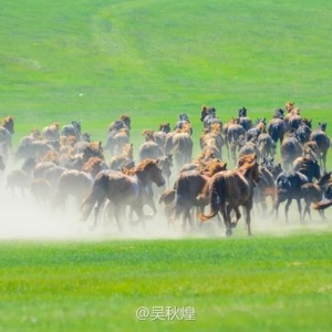 莫日格勒河草原