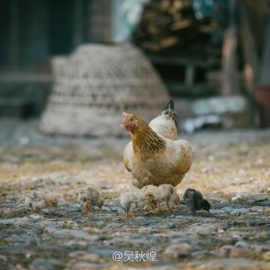 你们城里人真会玩,漫步漳州云霄