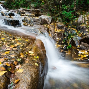 春有百花秋有月