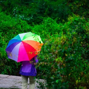 纵有千般不舍，终须挥手作别