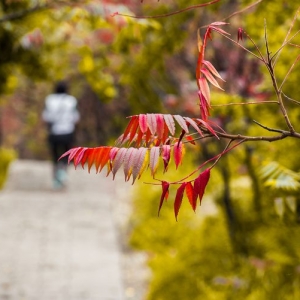 纵有千般不舍，终须挥手作别