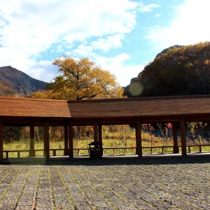 地下森林---松江河镇农家小院