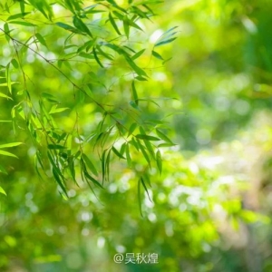 宜兴国际会议中心